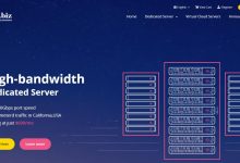 10gbiz香港站群服务器推荐-主机测评