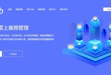 岚云香港VPS测评 - CN2 GIA线路原生IP还有香港动态VPS支持-主机测评