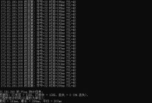 racknerd CN2 GIA美国VPS详细测评-主机测评