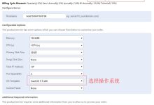 香港(HK) VPS VPB购买教程-主机测评