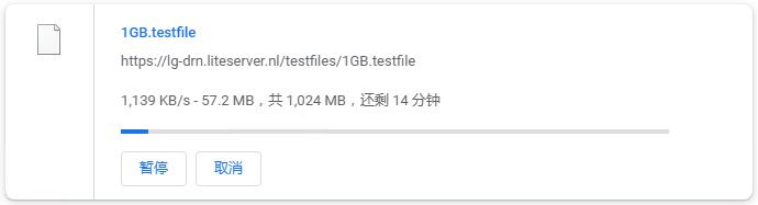 LiteServer荷兰VPS测评 - 本地下载速度