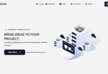 Regxa英国VPS测评 - OVH机房/1Gbps带宽/无限流量/支持DDoS高防-主机测评