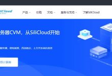 SiliCloud美国VPS怎么样测评介绍-主机测评