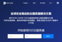 DIYVM美国VPS怎么样测评介绍-主机测评