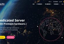 10gbiz美国VPS圣何塞机房测评 - 大硬盘和DDoS防御支持-主机测评