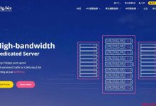 10gbiz柬埔寨服务器测评 - CN2线路无限流量-主机测评