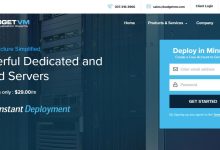 BudgetVM美国VPS达拉斯节点测评-主机测评