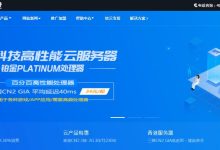 多IP美国站群VPS推荐 - CN2线路DDoS高防支持-主机测评