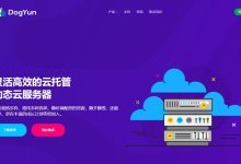 DogYun动态德国VPS推荐 - CN2 GIA线路-主机测评