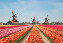 傲游主机荷兰VPS推荐 - Windows支持-主机测评