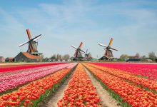 超便宜荷兰VPS HostSailor 6折优惠码-主机测评