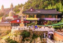 FormoHost韩国VPS详细测评-主机测评