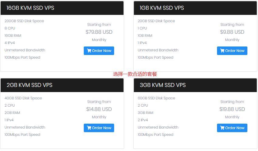 美国VPS DediPath 购买 - 套餐选择