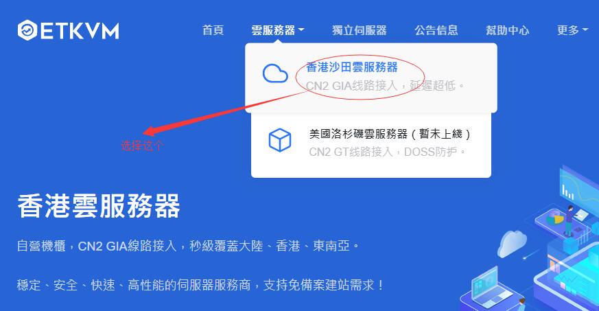ETKVM 购买教程 - 首页选择香港沙田服务器