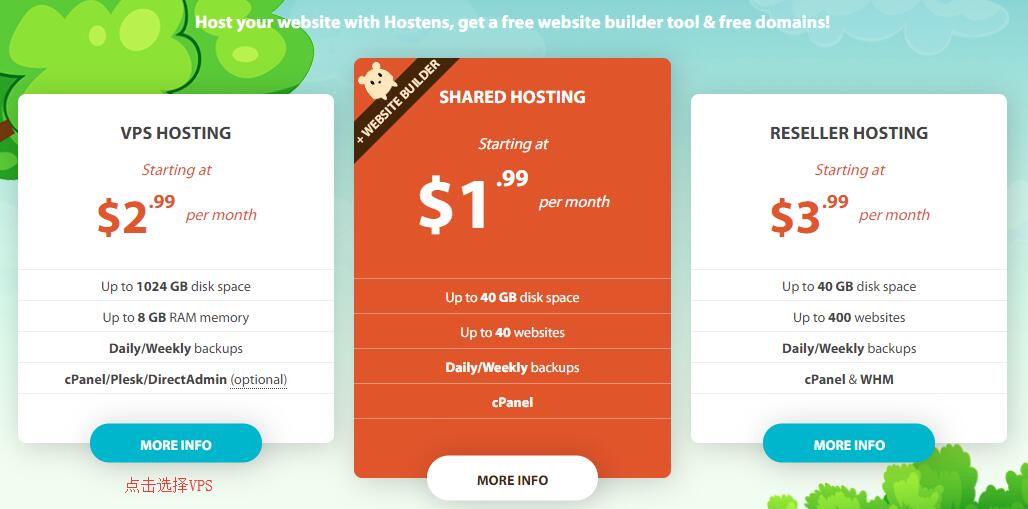Hostens VPS 购买教程 - 首页选择