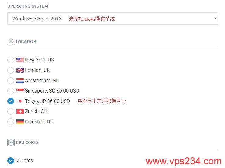 日本Windows VPS - 配置选择