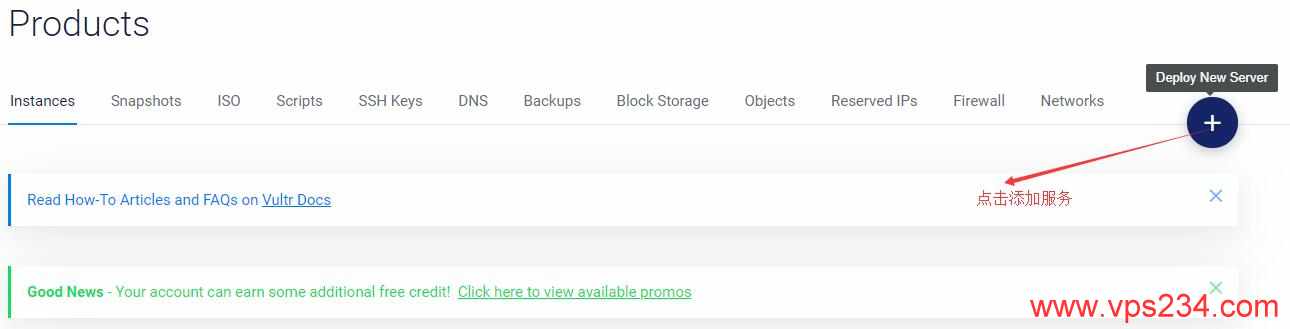 Vultr 大硬盘 VPS 创建服务