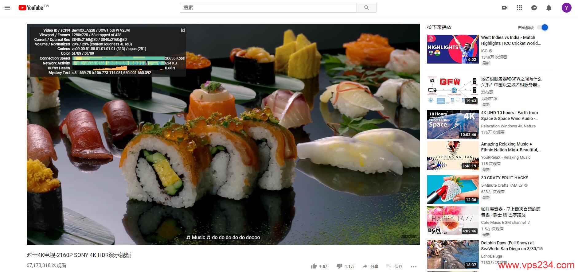 俄罗斯VPS josthost 视频测试效果