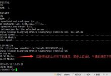 超便宜荷兰VPS/荷兰云主机/荷兰云服务，支持支付宝付款-主机测评