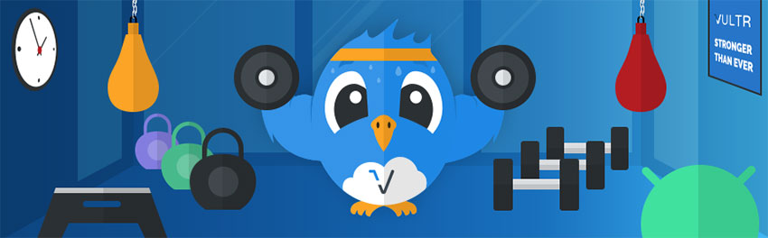 Vultr 功能特点